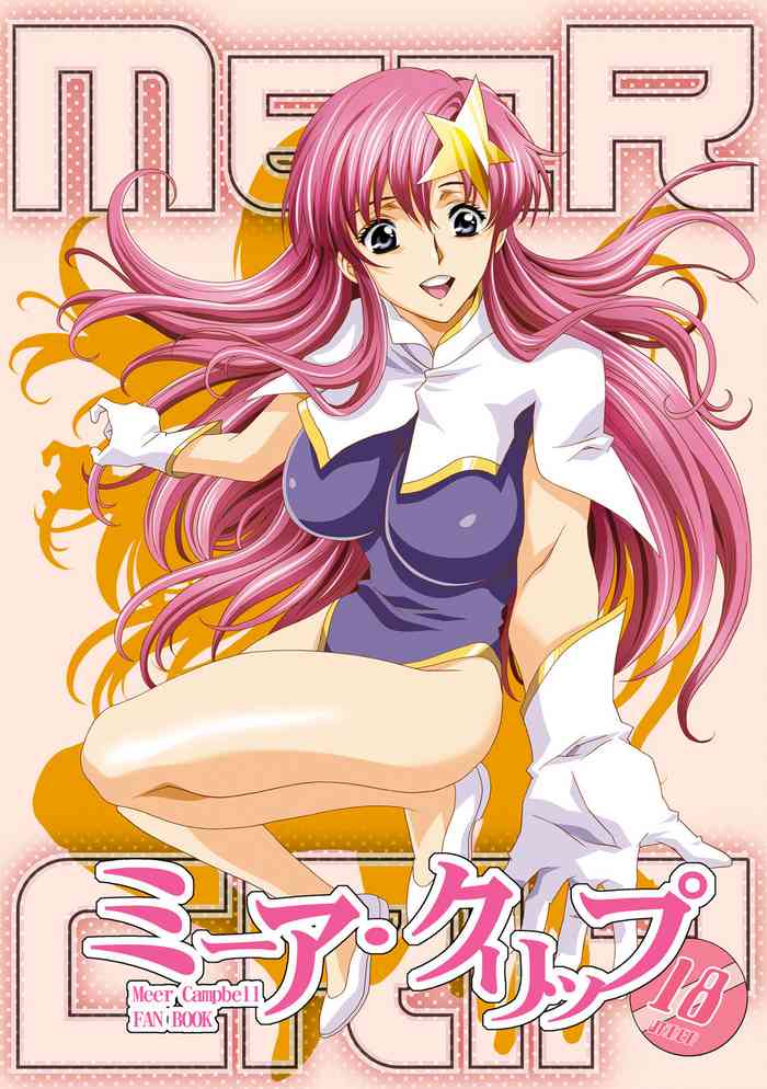 Gundam Seed Destiny Full Color Henreikai hotsell Manga Doujinshi