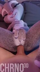 Judy Hopps (Disney) Cartoon Porn Video – Adult And Teenager – Adult O…