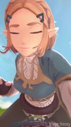 Link & Link (Nintendo) Rule 34 Video – Assertive Female