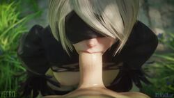 Yorha 2b (Nier) Rule 34 Video – Blindfold