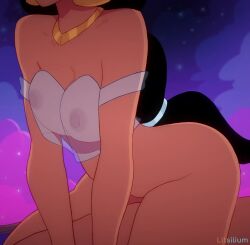 Disney Cartoon Porn Video – Aladdin