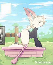Minecraft Rule 34 Video – All Fours