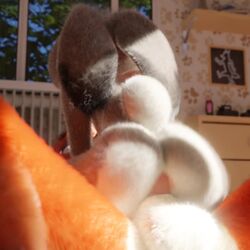 Judy Hopps & Nick Wilde (Disney) Cartoon Porn Video – Anal – Anal Grip