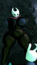 Hornet & Protagonist (Hollow Knight) Cartoon Porn Video – Chubby