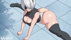 Yorha 2b & Yorha 9s (Nier: Automata) Rule 34 Video